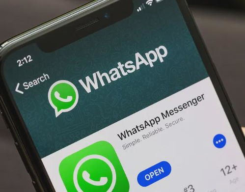 whatsapp怎么跟国外客户聊天,高效与国外客户交流的秘诀