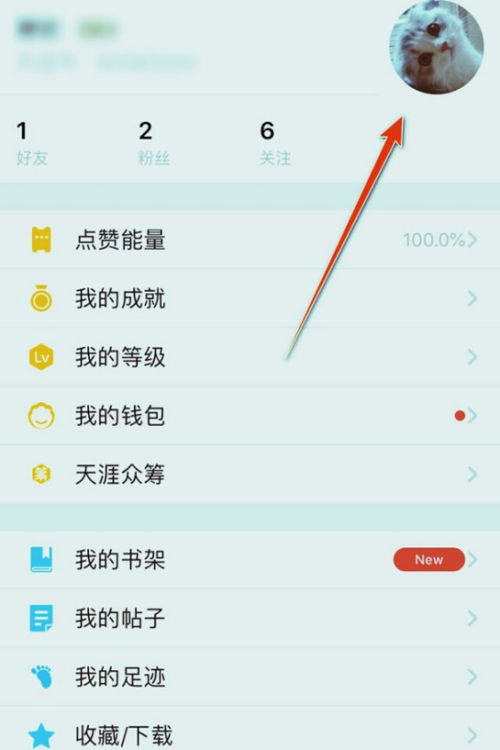 whatsapp怎么切换账号登陆,轻松管理不同社交圈
