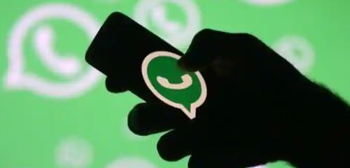whatsapp有群聊机器人吗,智能助手助力高效沟通新体验