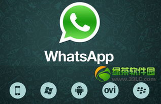 whatsapp怎么关掉时间,操作指南