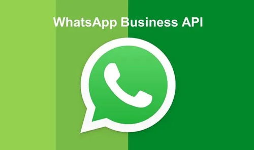 whatsapp无法收到验证,揭秘无法接收验证码的常见原因及解决方案