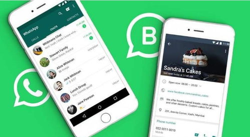 whatsapp商务,高效连接全球客户的秘密武器